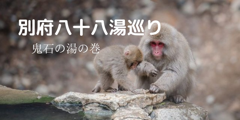 猿が2匹温泉に浸かる