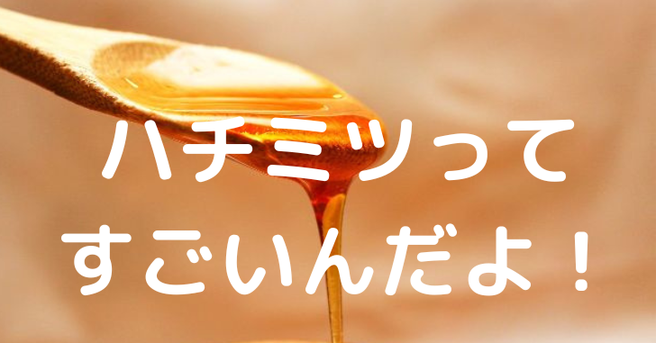 スプーンですくったハチミツ