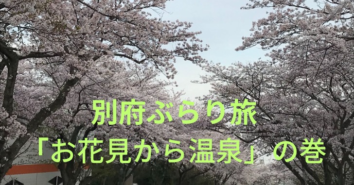 桜並木