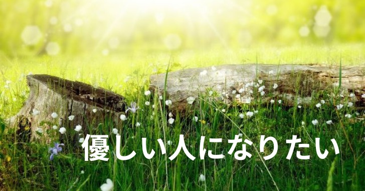 切り株と小さな花優しい太陽の日差し