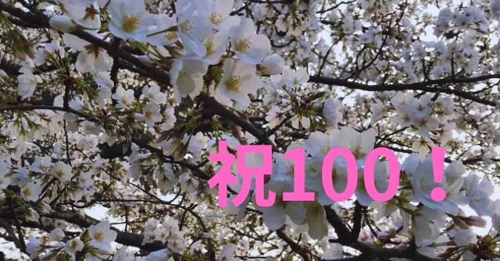 桜の木　桜の花びら