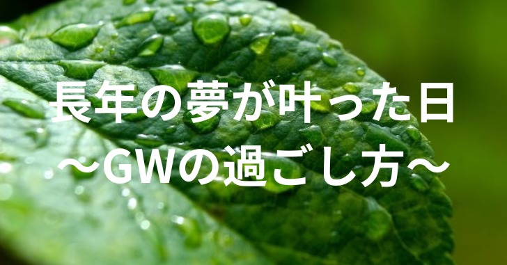 雨に濡れた葉っぱ